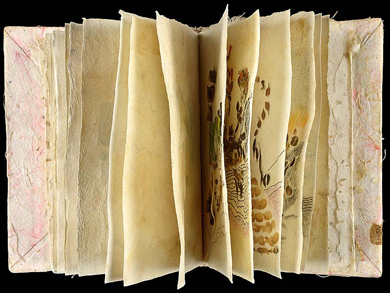 Book of Seed Landscapes - Judith Lerner